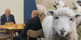 Փաշինյանը ոչխար առ ոչխար վերադարձրել է Ադրբեջանին