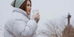 Ռոզա Լինի Snap-ը՝ &laquo;Եվրատեսիլ&raquo;-ի պաշտոնական ալիքի դեկտեմբեր ամսվա ամենադիտված տեսահոլովակների Top 20-ում