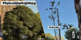 Իշխանության արածը հանցանք է բոլորիդ առողջության նկատմամբ. ավագանի