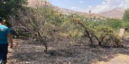 Վայոց Ձորում կինը խոտեր այրելու հետևանքով տարբեր աստիճանի այրվածքներ է ստացել և մահացել