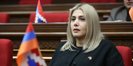 Սա, ժողովրդական լեզվով ասած, խուժանություն է․ Էլինար Վարդանյան