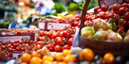 Արգելվում է միայն կարանտին վնասակար օրգանիզմներով վարակված բեռների արտահանումը․ ՍԱՏՄ
