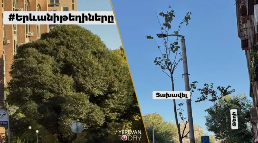Իշխանության արածը հանցանք է բոլորիդ առողջության նկատմամբ. ավագանի