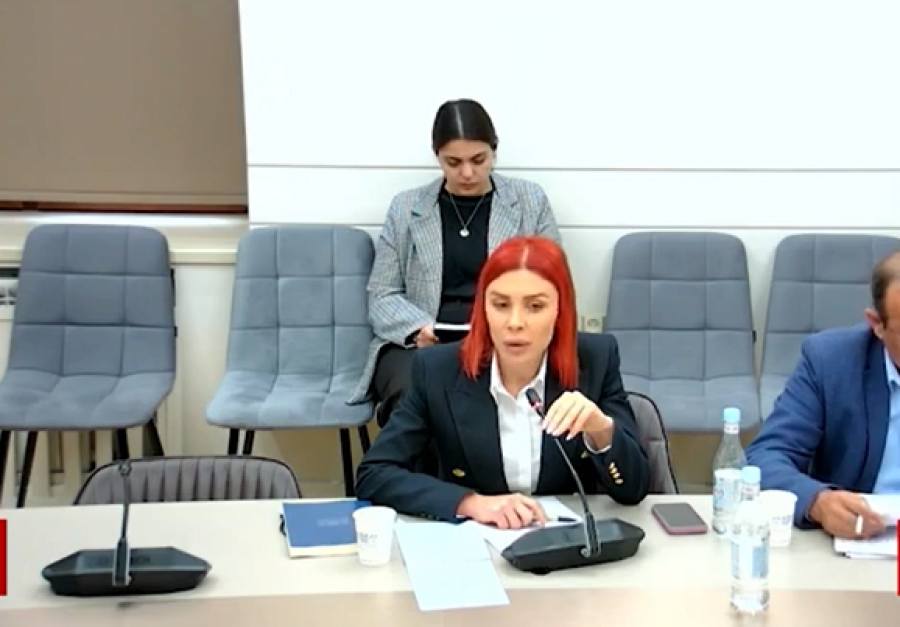 Իրավապահներն ու ուժայինները չպետք է թմրանյութ օգտագործեն, նրանց պետք է թեստավորել. Ագնեսա Խամոյան