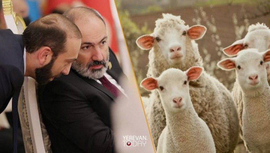 Փաշինյանը Միրզոյանին հորդորում է իր գործով զբաղվել